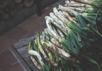 Faydaları ve lezzetiyle son dönemlerin en popüler bitkilerinden biri: Çiriş otu (yabani pırasa)