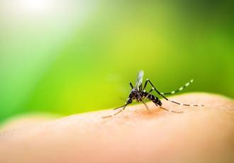 Yaz aylarını sivrisineklere yem olmadan geçirmenin 5 sırrı! Hangi yiyecekler sinekleri insanlara çekiyor?