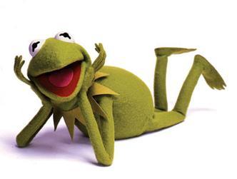 Four-legged actors vie the Oscars