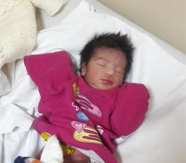 Newborn infant found in garbage truck in Istanbul