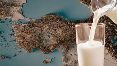 Bu mutasyon ilk olarak Anadolu topraklarında ortaya çıktı Bilim insanları binlerce yıldır açıklayamıyor