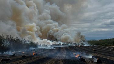 Bursa Yenişehirdeki orman yangınına müdahale ediliyor