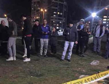 13 dogs die after being deliberately poisoned in Ankara