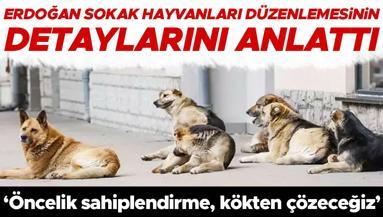 Cumhurbaşkanı Erdoğan: Başıboş köpek sorunumuz var Öncelik sahiplendirme, sorunu kökten çözeceğiz