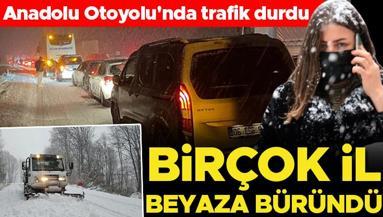 Beklenen kar yağışı başladı: Birçok il beyaza büründü