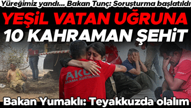 Eskişehirde yeşil vatan uğruna 10 kahraman şehit