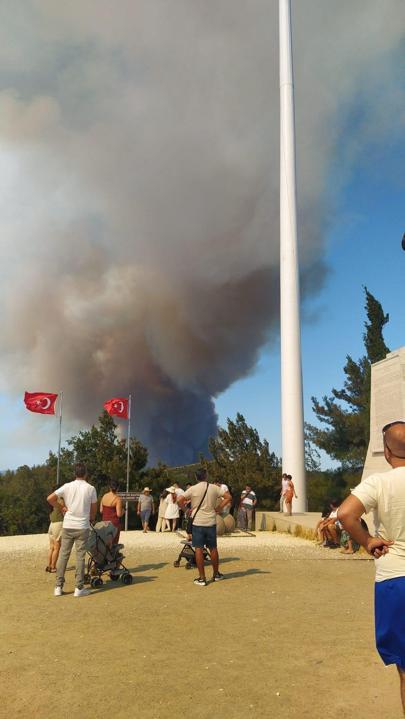 Breaking news… Forest fire in Canakkale halts shipping