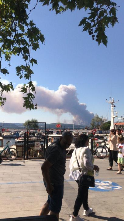 Breaking news… Forest fire in Canakkale halts shipping