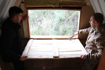 Youngsters settle in treehouse amid epidemic