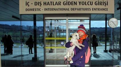 German vet student rescues stray dog in Turkey