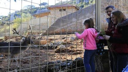 Antalya Hayvanat Bahçesi Nerede Antalya Hayvanat Bahçesi Hayvanları, Giriş Ücreti, Çalışma Saatleri Ve İletişim Bilgileri (2020)