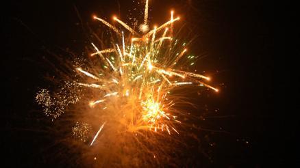 Havai fişekler yasaklansın kuşlar ölmesin