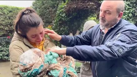 Banu Parlakın köpeği Leoyu öldürmüştü... Tüm tazminat sokak hayvanlarına bağışlanacak