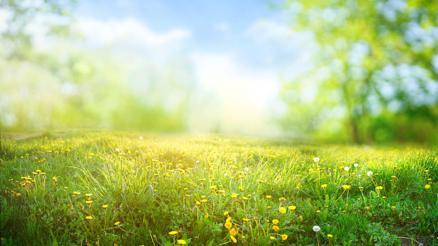 Hıdırellez ne zaman, saat kaçta başlıyor Hıdırellez nedir, dileği ne zaman olur İşte Hıdırellez Bayramı hikayesi...