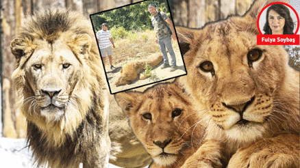 Zeusların kaderi ya esaret ya ölüm mü