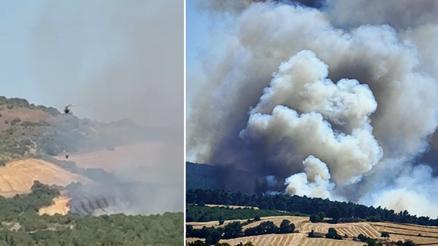 Balıkesir ile Edirnede orman yangınları söndürüldü İzmirdeki yangına havadan ve kardan müdahale sürüyor