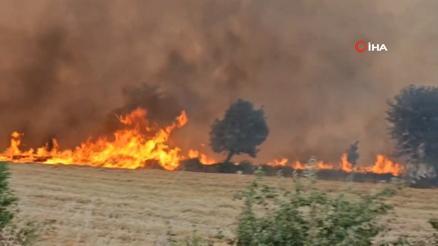 Edirne’nin Keşan ilçesinde orman yangını