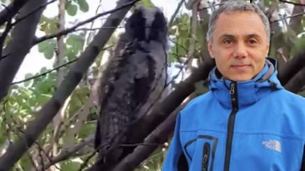 Evinizin çevresinde görürseniz sevinin deyip uyardı: Sakın zarar vermeyin