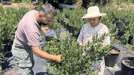 KKTCde okurken tadından etkilendi, şimdi Zonguldakta üretimini yapıyor | Litvanyadan özel toprak getirtti