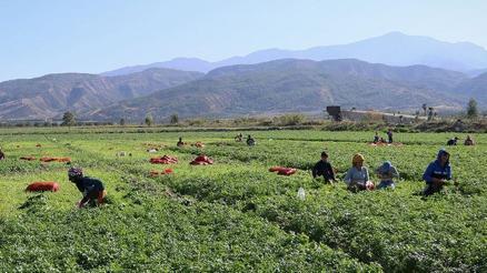 DMMden mevsimlik tarım işçilerine sağlanan desteklere ilişkin açıklama
