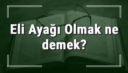 Eli Ayağı Olmak ne demek? Eli Ayağı Olmak deyiminin anlamı ve örnek cümle içinde kullanımı (TDK)