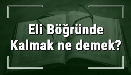 Eli Böğründe Kalmak ne demek? Eli Böğründe Kalmak deyiminin anlamı ve örnek cümle içinde kullanımı (TDK)