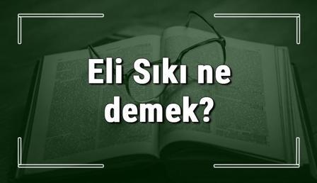 Eli Sıkı ne demek? Eli Sıkı deyiminin anlamı ve örnek cümle içinde kullanımı (TDK)