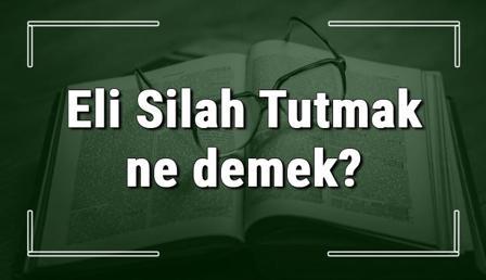 Eli Silah Tutmak ne demek? Eli Silah Tutmak deyiminin anlamı ve örnek cümle içinde kullanımı (TDK)