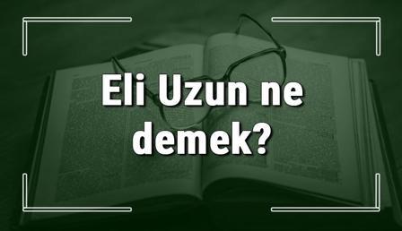 Eli Uzun ne demek? Eli Uzun deyiminin anlamı ve örnek cümle içinde kullanımı (TDK)