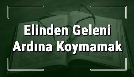 Elinden Geleni Ardına Koymamak deyiminin anlamı ve örnek cümle içinde kullanımı (TDK)