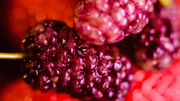 Τα οφέλη της πλούσιας σε αντιοξειδωτικά Mulberry