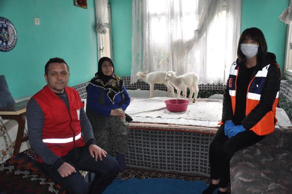 Old woman living with her lambs calls emergency hotline to ask for animal fodder