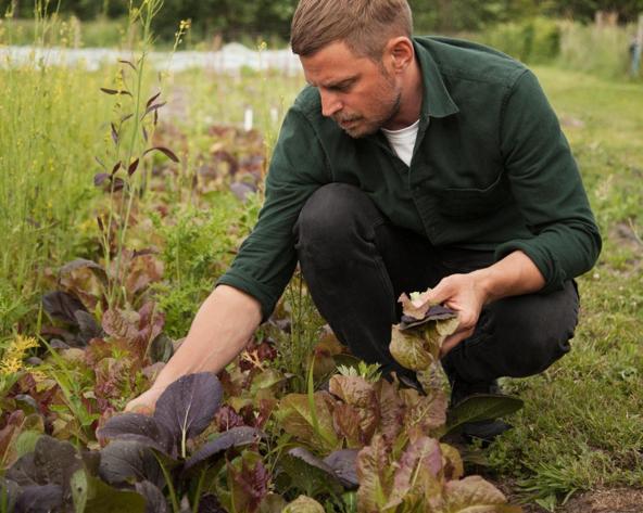 Memory of Island: Kadeau