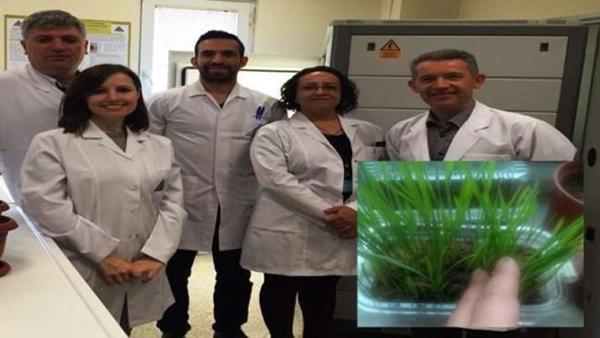 Türk tohumculuğunda yeni bir dönem başlıyor