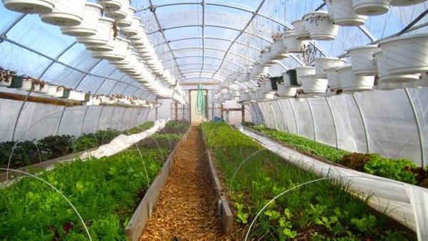 Dış Ticaret Uzmanı yanıtlıyor