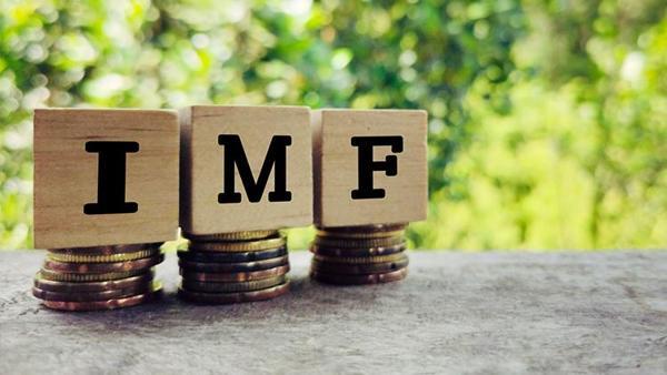 IMFten iki ülkeye uyarı