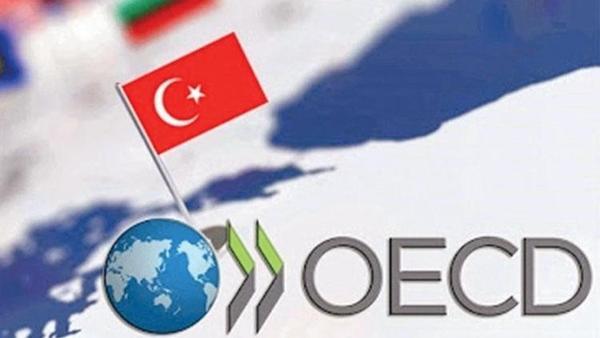 OECD: Türkiye 2025’te yüzde 3.1 büyüyecek