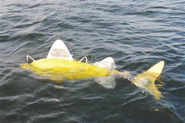 Fish robots search for pollution in the waters