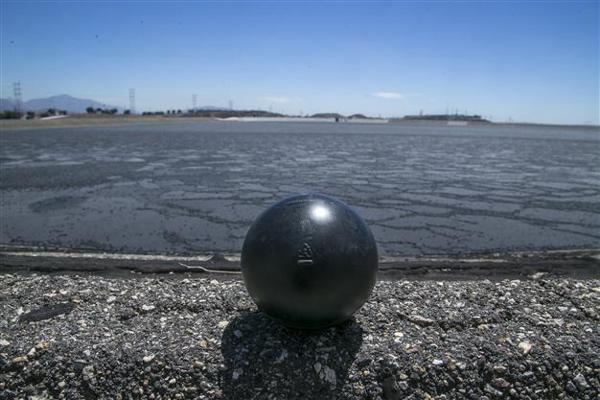Shade balls discount