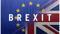 "İngiltere Brexit'i tek taraflı iptal edebilir"