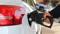 Motorin fiyatlarına zam geliyor