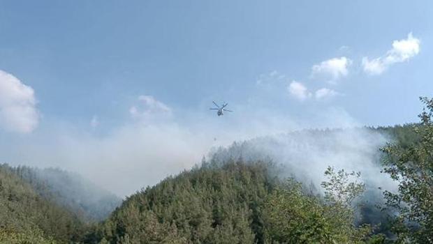 Osmaniye'de orman yangını: Ekipler müdahale ediyor