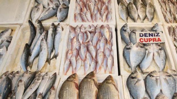 Balık fiyatları dip seviyelere düştü