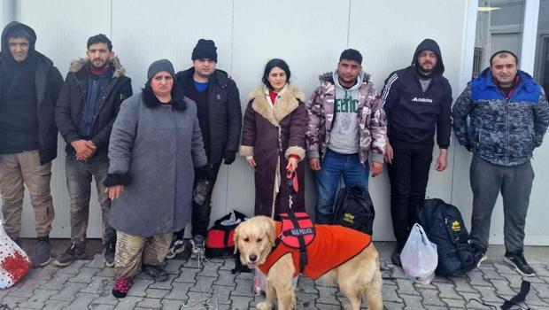 Yunanistan'a kaçmaya çalışırken rehber köpeği ile yakalandı