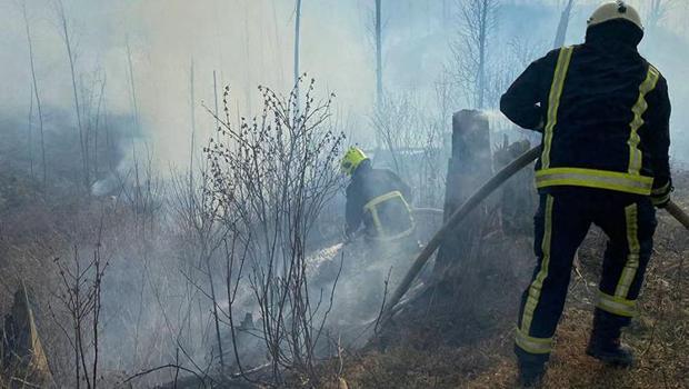 Ukrayna'da orman yangını