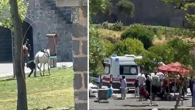 Diyarbakır’da feci olay! Piknik yapan öğrenci ve velilerin arasına at daldı... Sahibi kaçtı