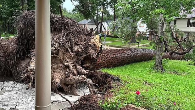 Texas'ta şiddetli fırtına: 4 kişi öldü, 800 binden fazla ev elektriksiz kaldı