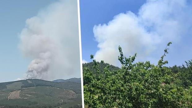 Bursa ve Antalya'da orman yangını! Müdahale ediliyor