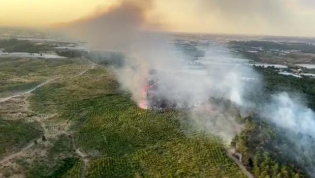 Antalya Aksu'da korkutan orman yangını