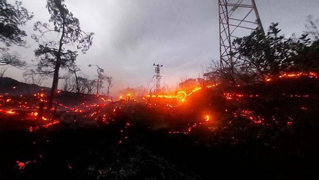 Marmaris'te orman yangını: Havadan ve karadan müdahale... 1 hektar alan zarar gördü